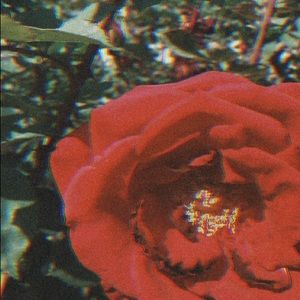 Meet your Posher, Aiku